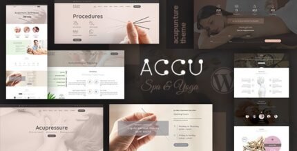 Accu 3.9 – Healthcare, Massage WordPress Theme