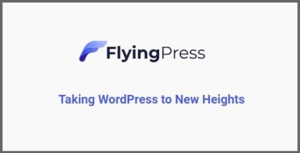 FlyingPress 5.6.5