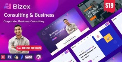 Bizex 1.0.5 – Business Consulting