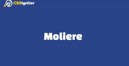 Moliere 1.1.2 – WordPress Theme