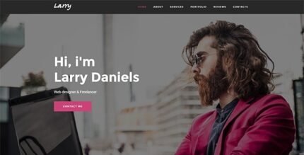 Larry. 1.1 – Personal Onepage WordPress Theme